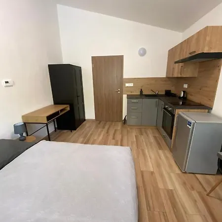 Cerna Ruze - 7 * Pilsen