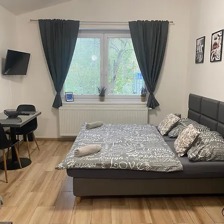 Apartment Cerna Ruze - 7 *
