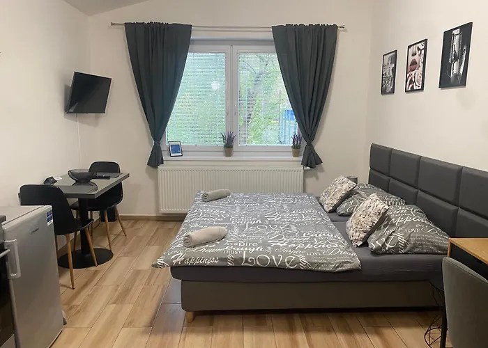 Apartamento černá Růže - 7 *