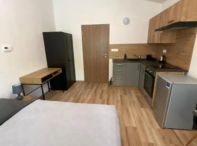 Cerna Ruze - 7 * Plzeň