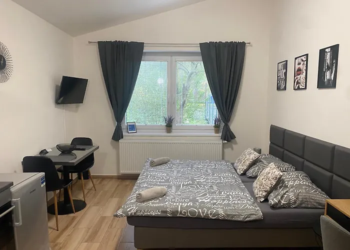 Cerna Ruze - 7 * Plzeň